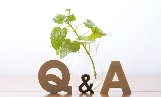 Q&A